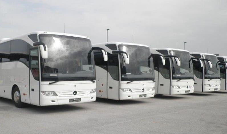 Monte-Carlo: Bus company in Le Larvotto in Le Larvotto and Monaco