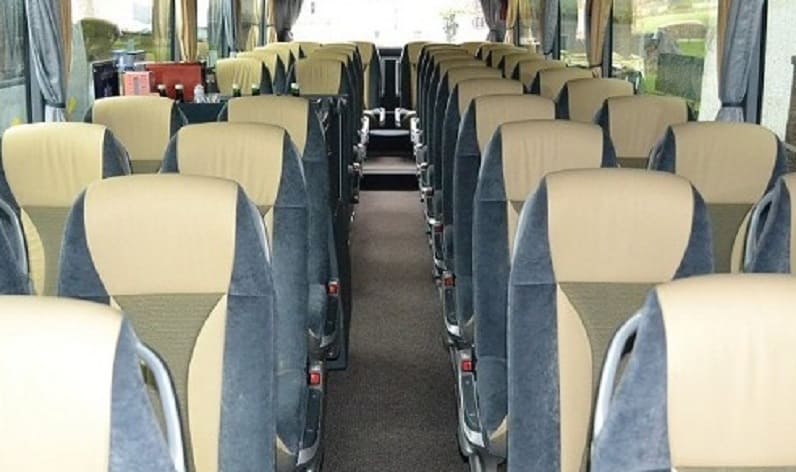 Italy: Coach operator in Piedmont in Piedmont and Turin